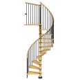 Dolle Spindeltreppe Winnipeg 287-315cm Geschosshöhe 13 Stufen Ø140cm Buche geölt