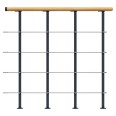 Dolle Brüstungsgeländer Startpaket 1m lang in Buche/anthrazit mit mitlaufenden Edelstahlstäben für Mittelholmtreppe Boston