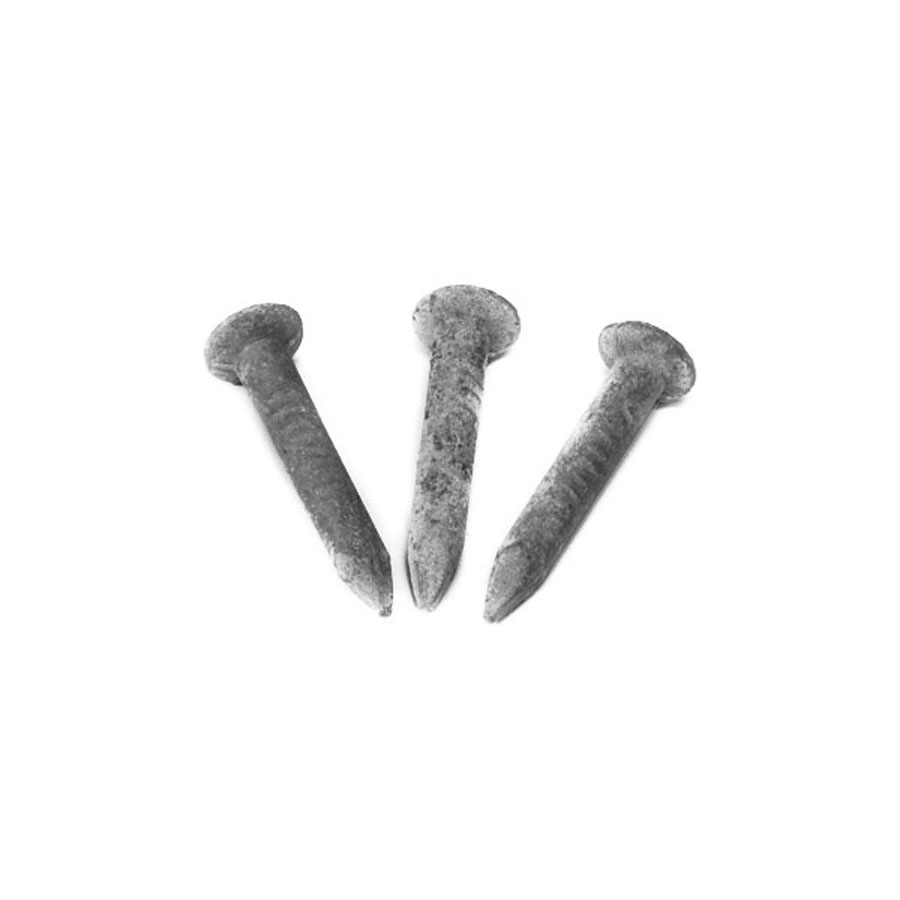 Verzinkte Dachhakennägel, 30 Stk., 6,0 x 40 mm