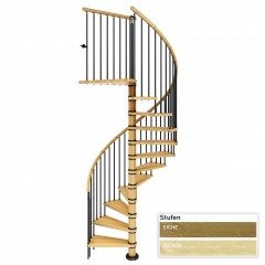 Dolle Spindeltreppe Winnipeg 246-270cm Geschosshöhe Ø120-140cm Eiche/Buche