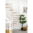 Minka Spindeltreppe Fusion 37 - 295cm Geschosshöhe Eiche Schwarz 160cm Durchmesser Minka Spindeltreppe Fusion 37 - 295cm Geschosshöhe Eiche Schwarz 160cm Durchmesser-small