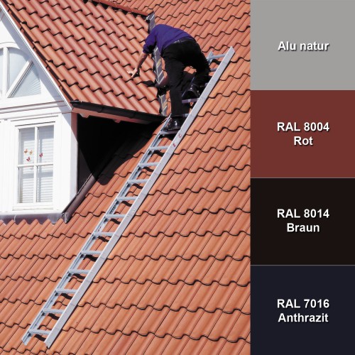 Euroline Premium Kaminkehrerleiter 10 Sprossen RAL8004 Rot