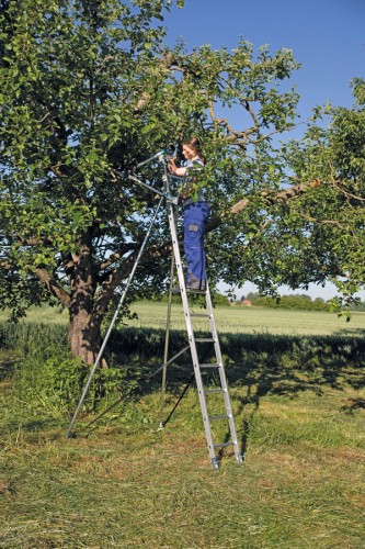 MUNK Obstbaumstützen bis 10 Sprossen