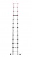 Hailo FlexLine T80 Sicherheits-Teleskopleiter 13 Sprossen Hailo FlexLine T80 Sicherheits-Teleskopleiter 13 Sprossen-small