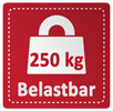 250kg belastbar